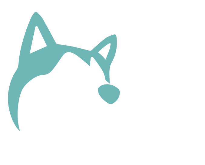 Ocani_logo_t-shirt_devant